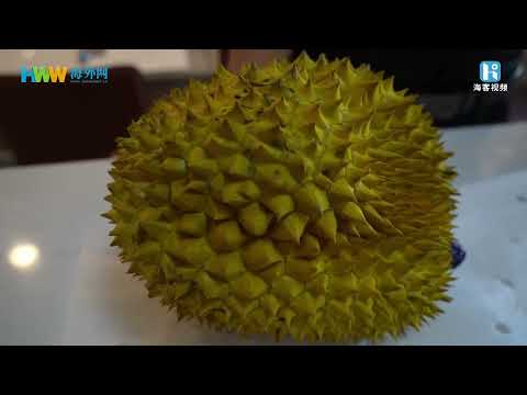 中国語学科 一颗榴莲的旅程：第五集《到站》
