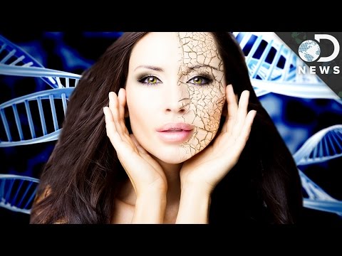 Can Technology Stop Aging?