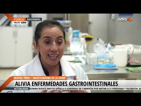 Aguamiel como ayuda a sanar problemas gastrointestinales