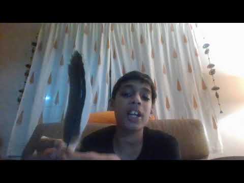 Primary and secondary wing feathers of a few birds