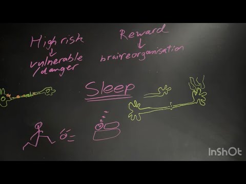 The importance of sleep for neuroplasticity