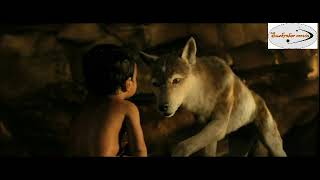 Download lagu Kisah Mula Mowgli Bersama kawanan Serigala...!!! (Sub Indo) mp3