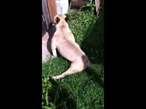 comment retrouver du tonus