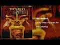 Testament - Careful What You Wish For