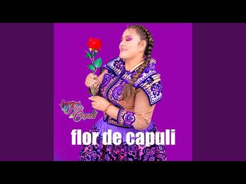 Caryuccsi Taricuni - Flor De Capuli Huaylia