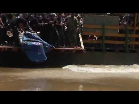 Historia y liberación de Willy