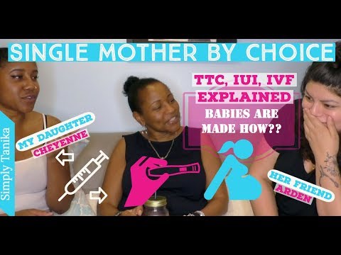 Explaining TTC, IUI and IVF Next Steps | How are babies made? Video