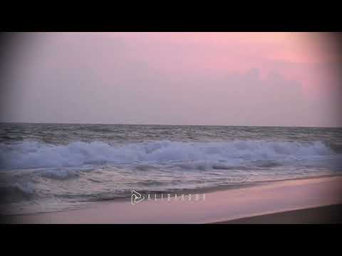 Ali Bakgor & Piece Wise - Save Myself (ft. Thomas Sykes)