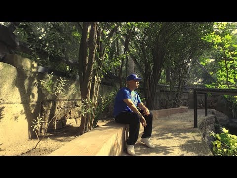 Anexo Leiruk - Muévete🌴