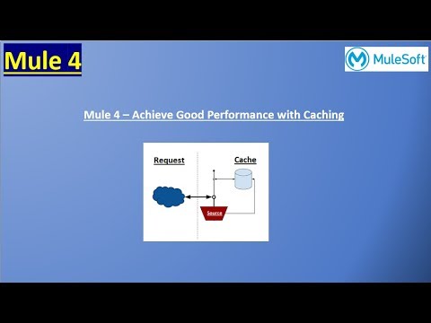 Implementing the Caching to improve Performance in Mule 4