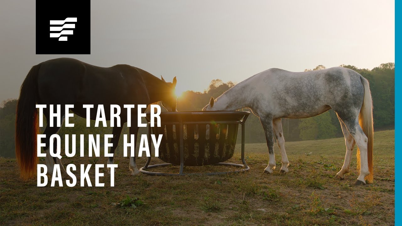 Equine Hay Basket Tarter USA