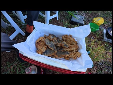 Pescaria em Rio Paranápanema na cidade de Primeiro de Maio PR #pesca de caiaque #tucunaré#natureza