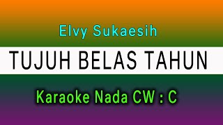 Download lagu 17 Tahun - KARAOKE DANGDUT ELVY SUKAESIH - Nada CW mp3