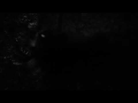 Photophobous WIP game horror adventure UE4