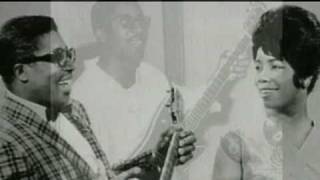The Story of Bo Diddley - The Animals
