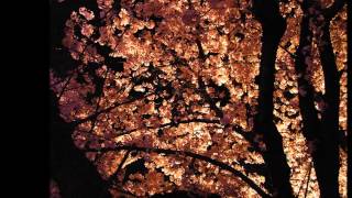 preview picture of video '姫路城夜桜会2014 Cherry blossoms by night in Himeji Castle garden / 姫神himekami～空の遠くの白い火White Fire'