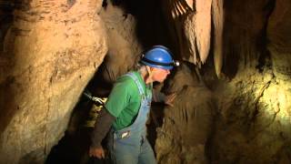 Shadows and Spiders: A Secret Cave in California - KQED QUEST Science on the SPOT
