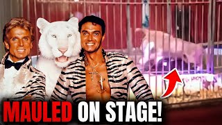 White Tiger ATTACKED His Owners Siegfried & Roy!