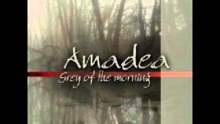 Amadea- Immortality