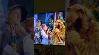 Don’t laugh Judy! #wizardofoz #judygarland #wickedmusical #funny #shorts