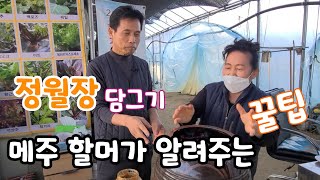 대박 꿀팁 ! 메주 할머가 알려주는 정월장 담그기
