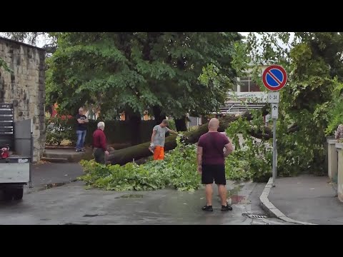 Ancora a lavoro per liberare le strade