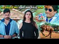 Ali Rakul Preet Singh Super Hit Movie Horse Comedy Scene Telugu Movies Cinema Chupistha