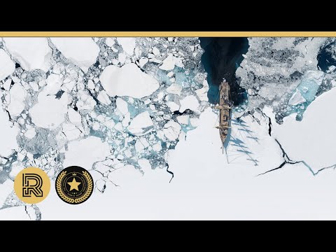 Award Winning CGI & VFX Breakdown: "Terra Nova" by ArtFX  | The Rookies