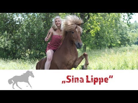 Vorstellungsvideo Sina Lippe