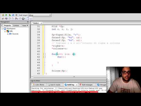 C 15 Lettura matrice da file di tipo void