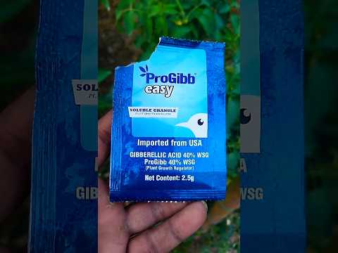 Progibb pgr sumitomo