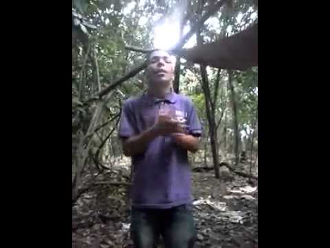 Mc Fael Da Zn(mata do Tropical)funk reag