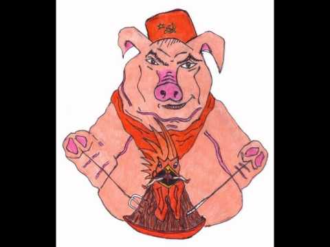 Busking - Pig With the Face of a Boy