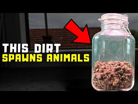 I Put Nothing But Dirt From a Forest in a Jar