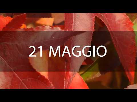 Meditazione del 21 Maggio 2018 “UNA VOCE SOMMESSA”