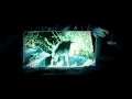 Vidéo Mort De Rire Animaux Qui Parlent