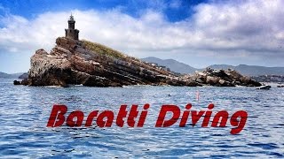 preview picture of video 'Baratti Diving- Immersione dello Scoglietto (Portoferraio)'