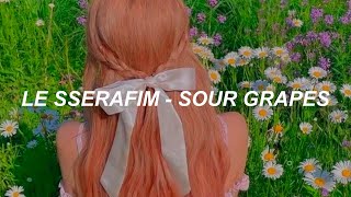 Cover art for sour grapes