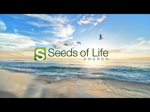 A False Assurance | Matthew 7: 21 - 27 | Kyle Shimazaki