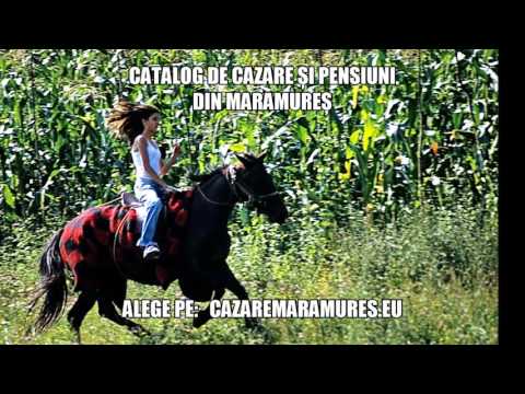 Cazare Coas, Pensiuni Coas - cazaremaramures.eu