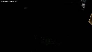 山形県鶴岡市白山興野ライブカメラ live webcam