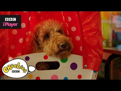ワッフル・ザ・ワンダー・ドッグ トップ5｜スターティングスクール｜CBeebies（シービービーズ (Waffle the Wonder Dog Top 5 | Starting School | CBeebies)