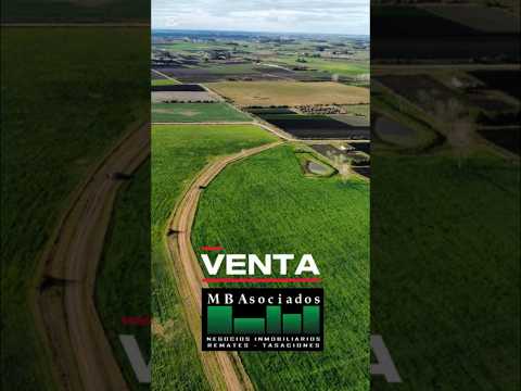 Venta 78 Hectáreas San Antonio, Canelones. @MBAsociados_inmobiliaria  www.mbasociados.com.uy