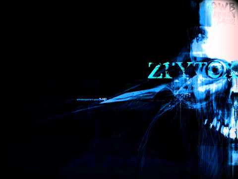 PrzeWid-y-Biści - Zrytex