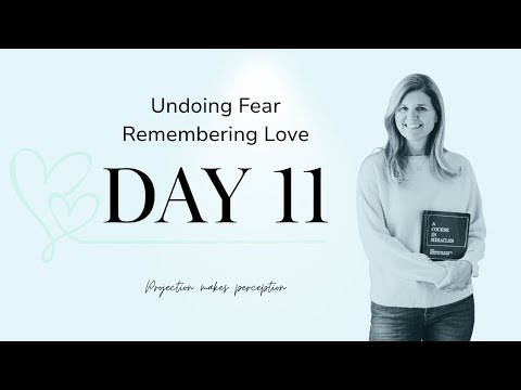 Day 11 Projection Makes Perception