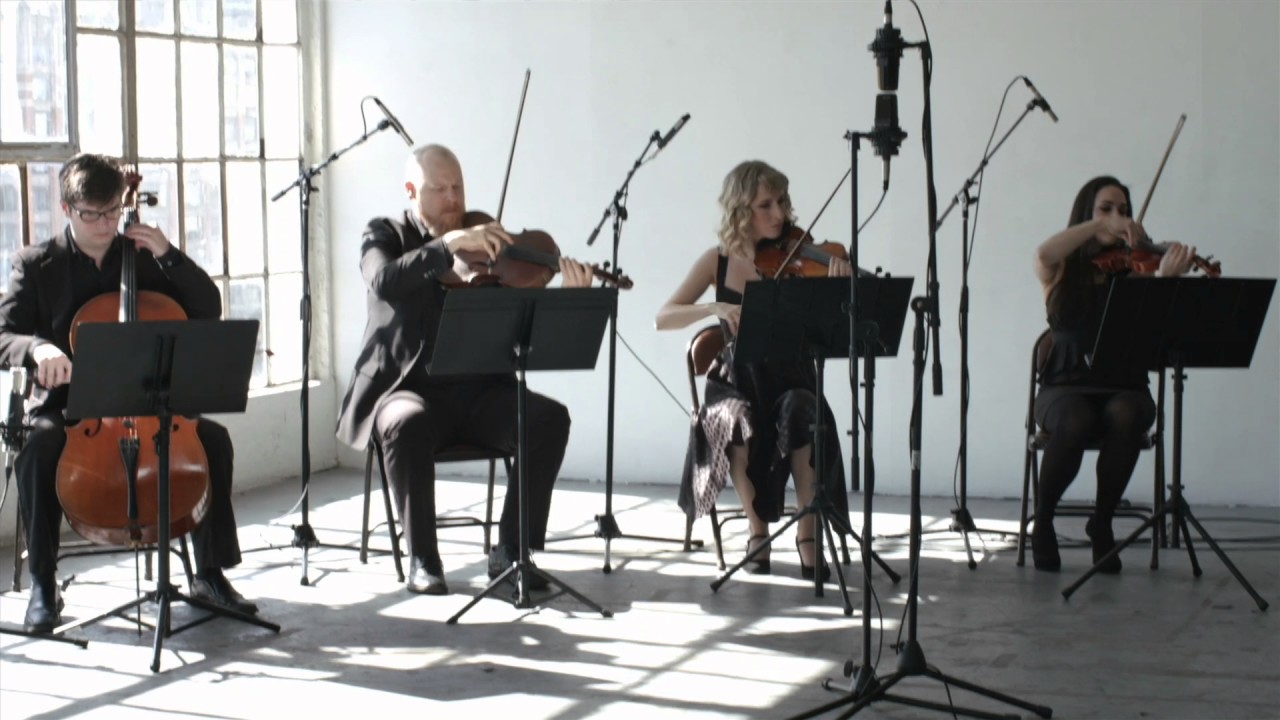 Promotional video thumbnail 1 for Organic String Quartet