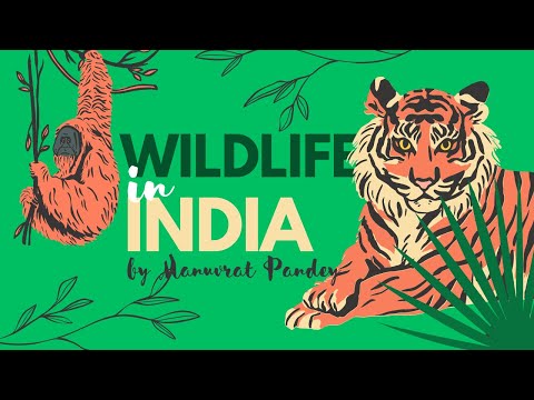 wildlife tour guide to Battimalv Island