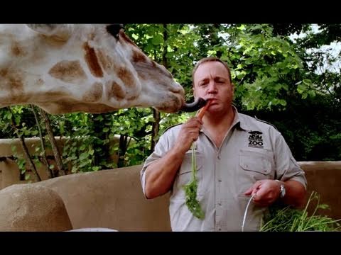 Zookeeper (2011) Official Trailer