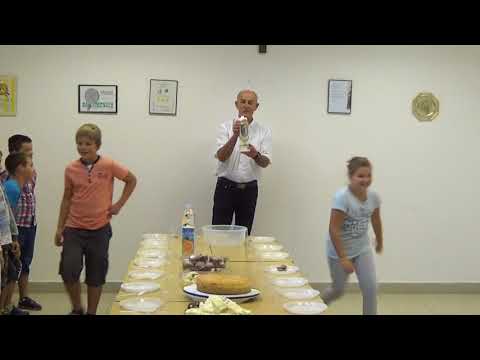 Proslava Gospina rođendana u viniškoj župi (2017. AD)