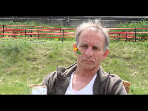 The Festy boys  - The Boxer